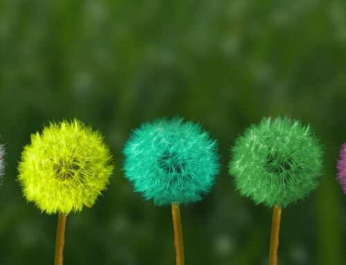 Cultural Change and the challenge of Digital Transformation